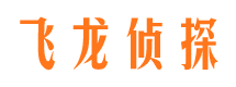 雁峰市侦探调查公司